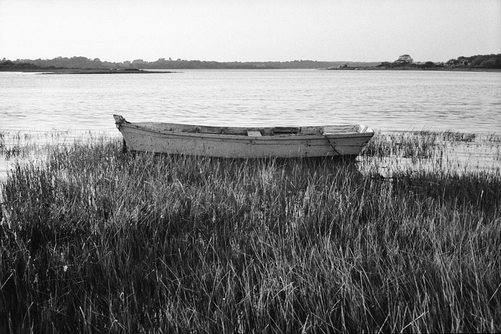 Canonet QL 19 & Film TMax 400