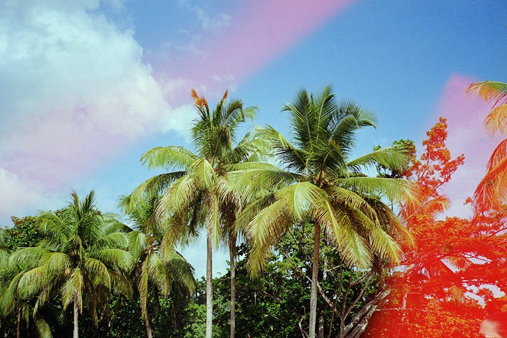 Dubble Film Solar/Sunstroke & Olympus Mju II