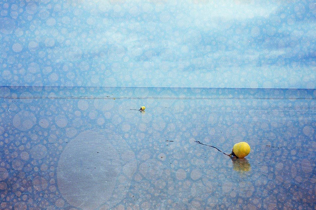 Olympus Trip 35 & film Revolog Texture